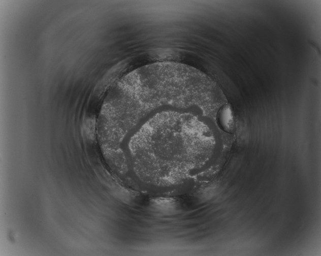 X0000103960189200810101253