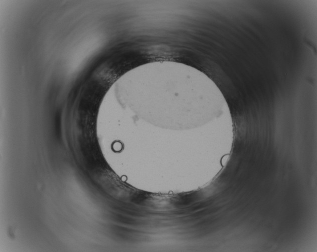 X0000103960190200810101253