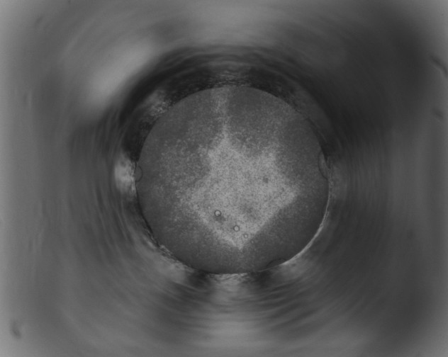 X0000103960191200810101253