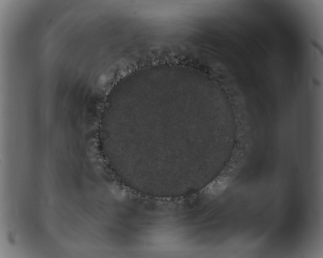 X0000103960192200810101253