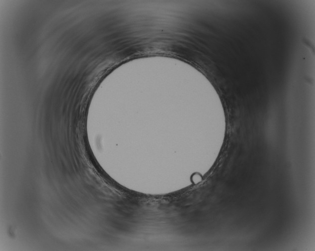 X0000103960193200810101252