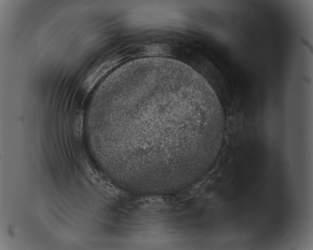 X0000103960194200810101252