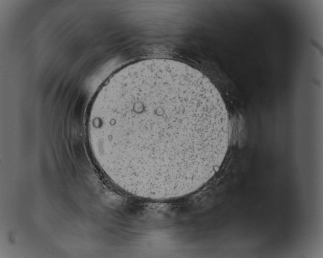 X0000103960195200810101252