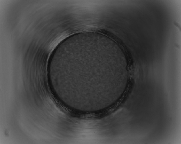 X0000103960196200810101252