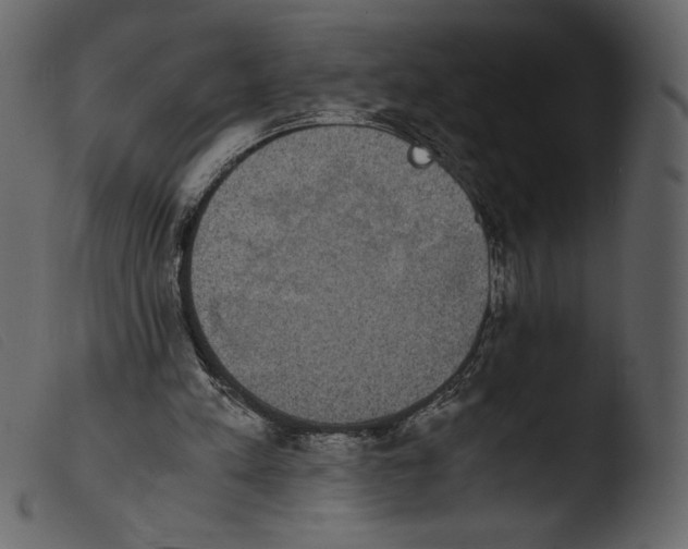 X0000103960197200810101252