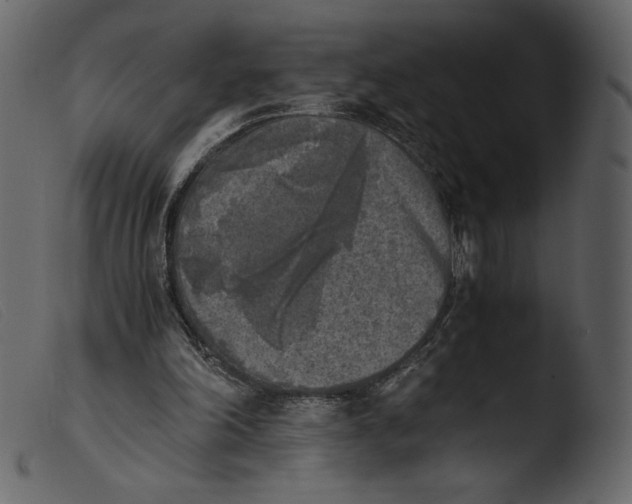 X0000103960198200810101252