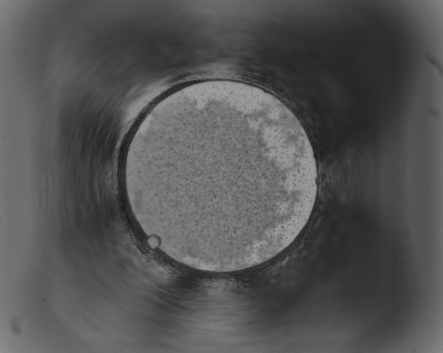 X0000103960200200810101252