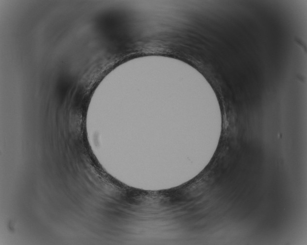 X0000103960201200810101252