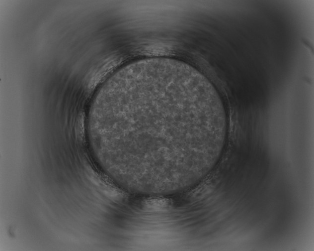 X0000103960202200810101252