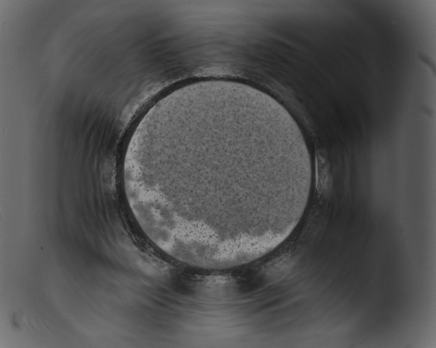 X0000103960204200810101252