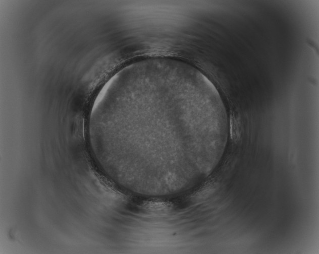 X0000103960205200810101252