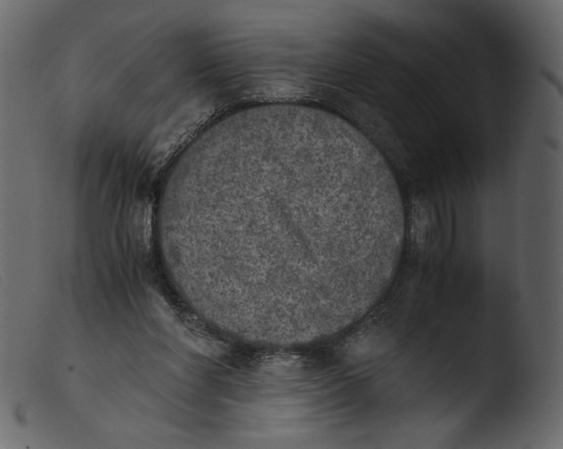 X0000103960206200810101252