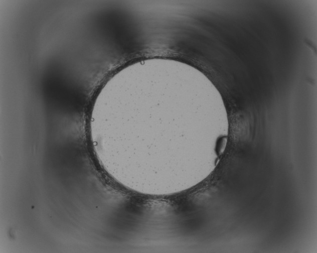 X0000103960207200810101252