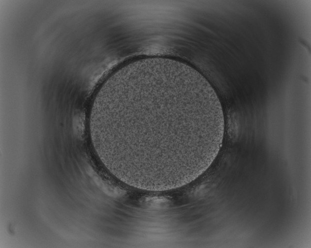 X0000103960208200810101252