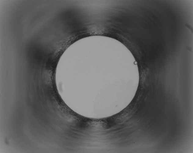 X0000103960209200810101252