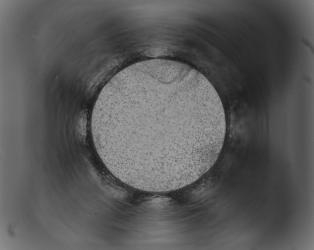 X0000103960210200810101252