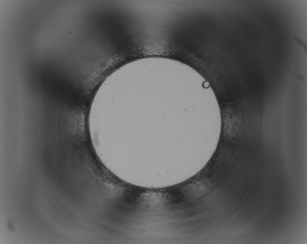 X0000103960211200810101252