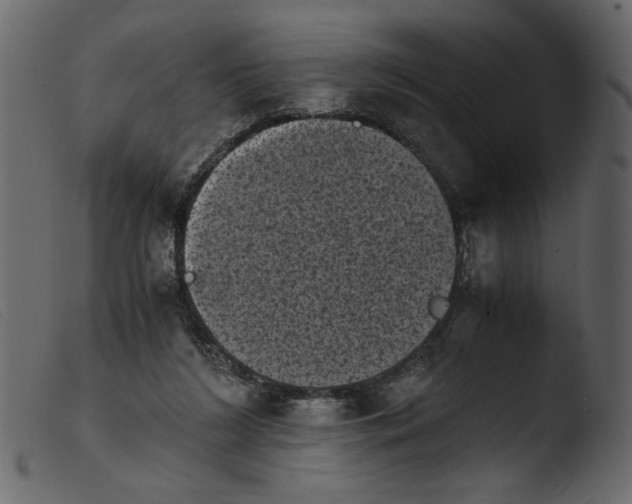 X0000103960212200810101252