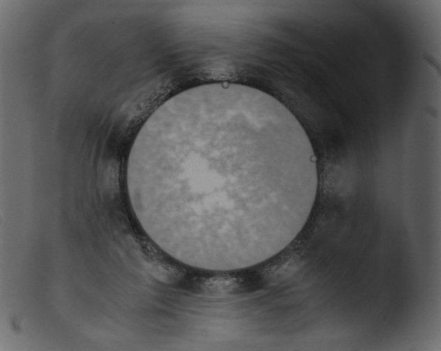 X0000103960213200810101252