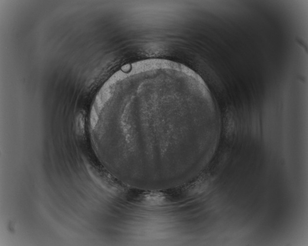 X0000103960214200810101252