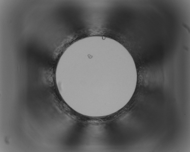 X0000103960215200810101252