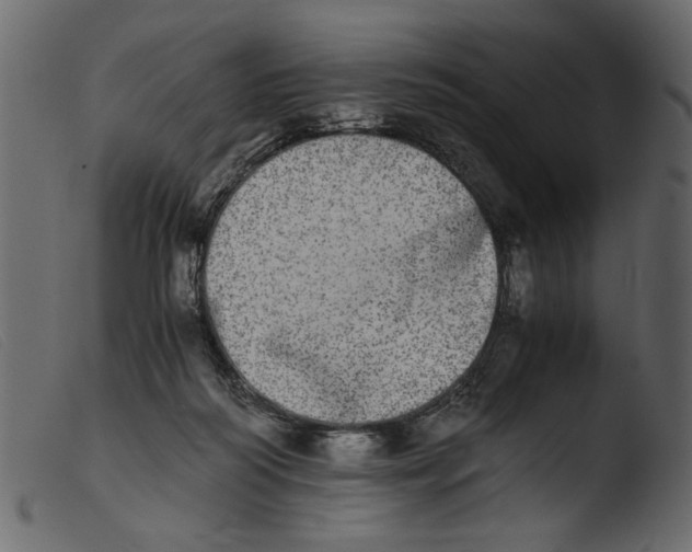 X0000103960218200810101252