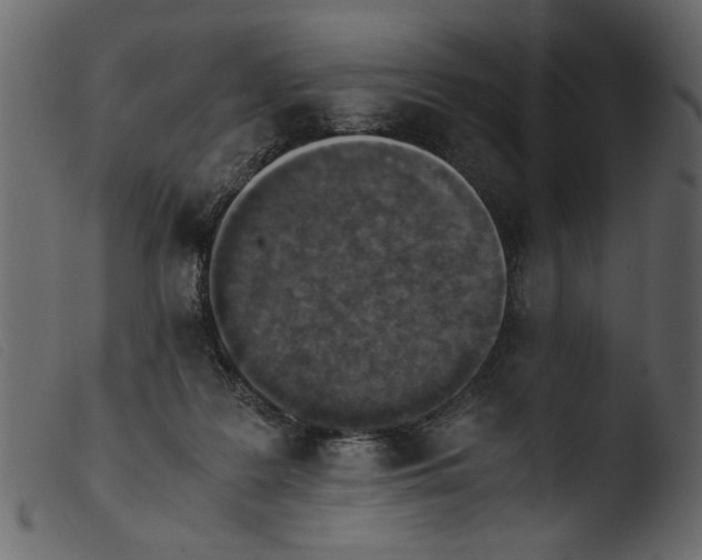 X0000103960219200810101252