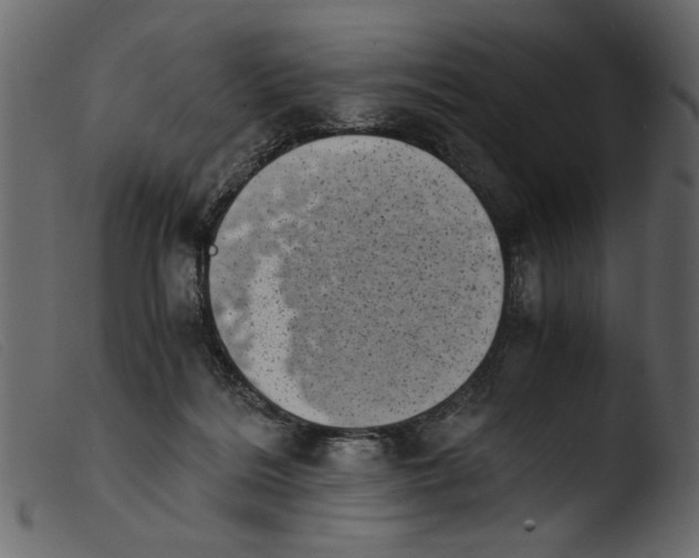 X0000103960220200810101252