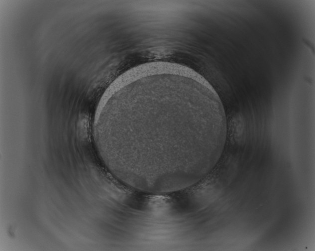 X0000103960222200810101252