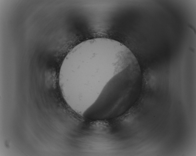 X0000103960223200810101252