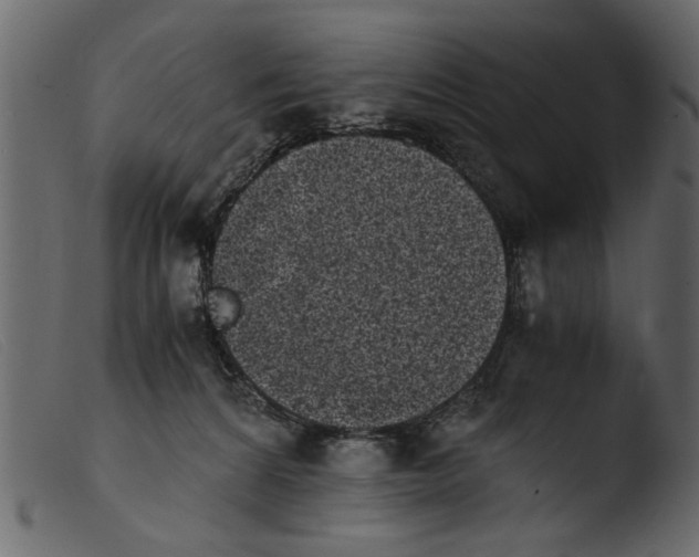 X0000103960224200810101252