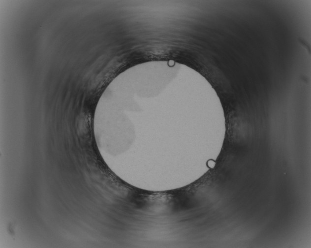 X0000103960225200810101252