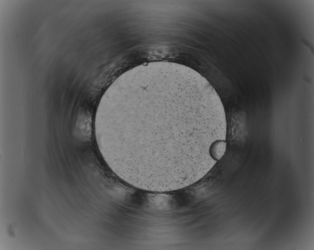 X0000103960226200810101252