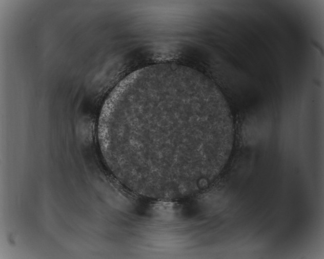 X0000103960227200810101252