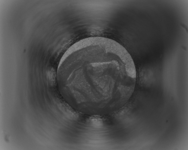 X0000103960228200810101252