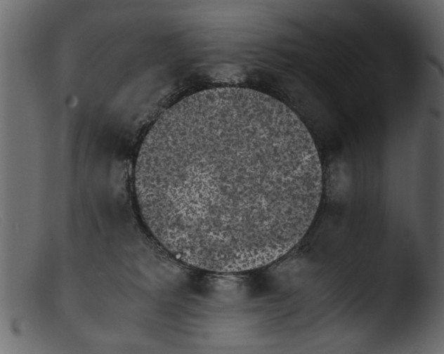 X0000103960229200810101252