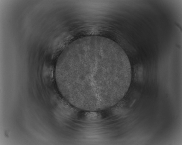 X0000103960230200810101252