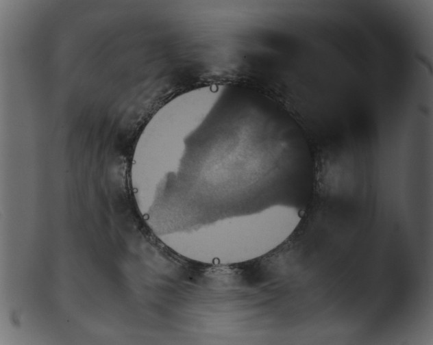 X0000103960231200810101252