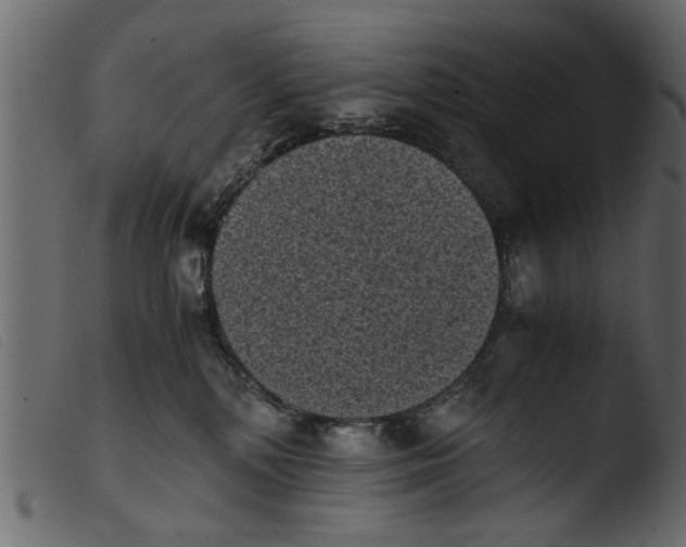 X0000103960232200810101252