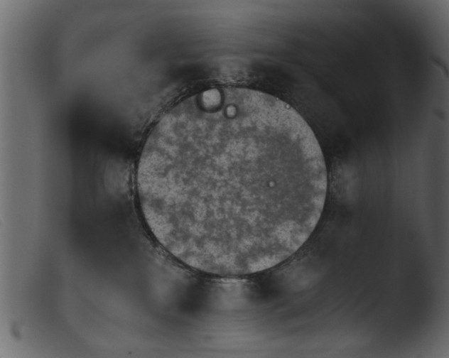 X0000103960233200810101251