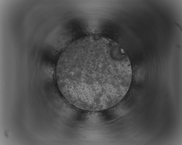 X0000103960235200810101251