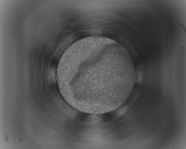 X0000103960238200810101251