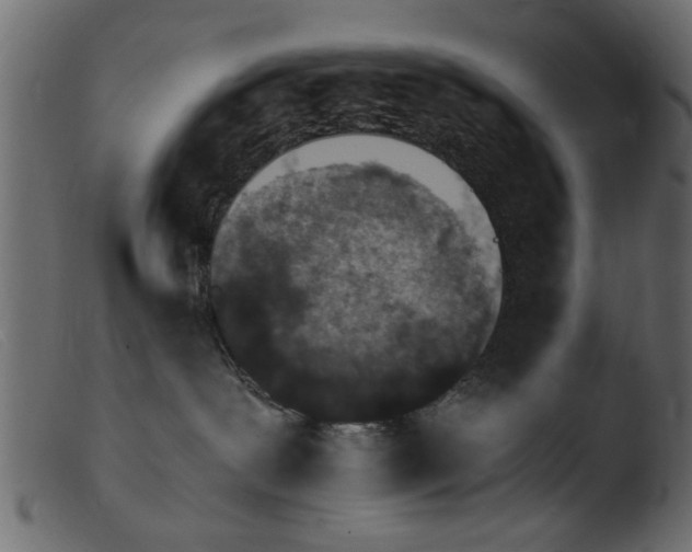 X0000103960239200810101251