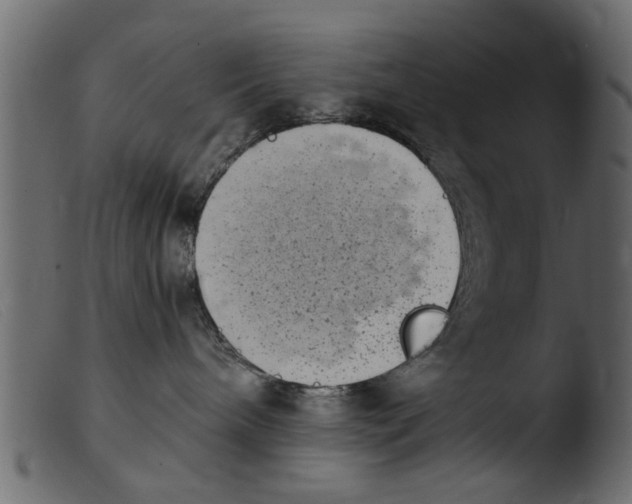 X0000103960240200810101251