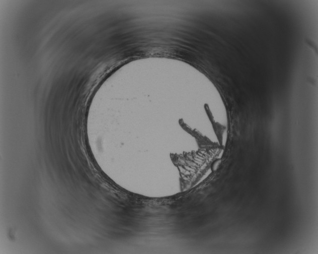 X0000103960241200810101251