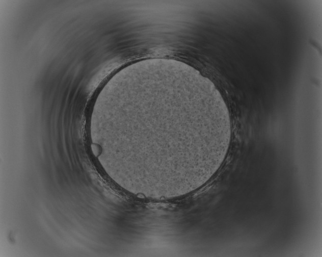 X0000103960242200810101251