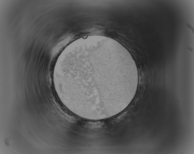 X0000103960245200810101251