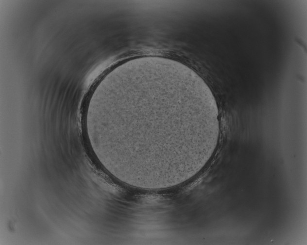 X0000103960246200810101251