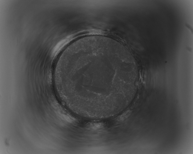 X0000103960247200810101251