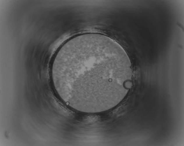 X0000103960248200810101251